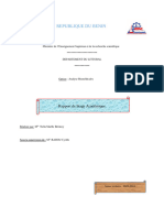 rapport de stage NELLA