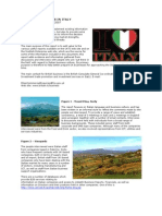 Italian Business Culture Report