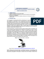 PRACTICA #4.  MICROSCOPIA Biociencias I (C)