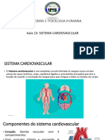 Anatomia e Fisiologia Humana Aula 13