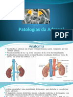 10) Patologias Da Adrenal