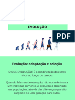 Trabalho de biologia - Evolução .pdf