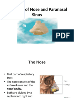 Anatomy of Nose2