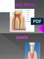 TEJIDOS DE SOPORTE (1)