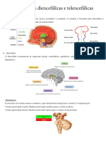 11 Estruturas diencefaÌlicas e telencefaÌlicasdo_231110_104942