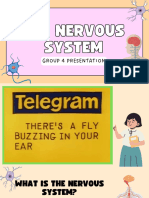 THE-NERVOUS-SYSTEM