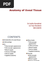 Anatomy of Uveal Tissue.sudhaa