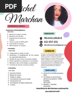 Curriculum Vitae CV Original Multicolor.pdf