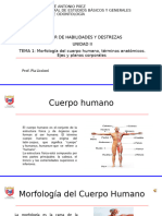 Tema 3.Morfologia Humana