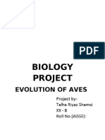 Biology Project: Evolution of Aves