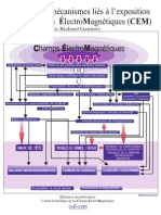 Schema Mecanismes Interactions Exposition Aux CEM