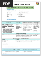 SESIÓN DE APRENDIZAJE 10 DE JUNIO CYT