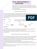 Bioquimica modulo 3