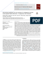 .2024 International guidelines for the treatment of carbapenem-resistant Gram-negative Bacilli infections A comparison and evaluation