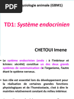 Système-endocrinien-2