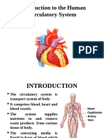 Circulatory System