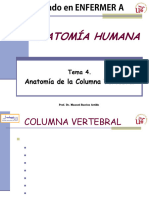 Tema 4 Columna vertebral