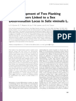 The Development of Two Flanking SCAR Markers Linked To A Sex Determination Locus in Salix Viminalis L