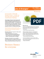 Celemi Apples and Oranges Manufacturing Product Sheet - English