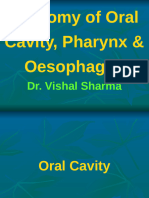 1.o Anatomy of Oral Cavity, Pharynx & Esophagus