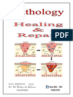 4- Healing & Repair 2024