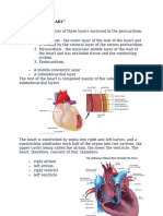 bio circulatory system