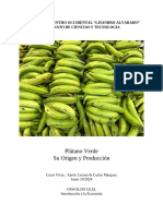 Platano verde producto Zulia