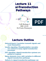 Lecture 11_Signal Transduction Pathways