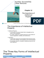 12 Intelectual Property 2