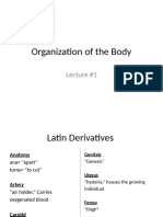 Body Organization Lec 1