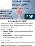 Blood Circulation Group One