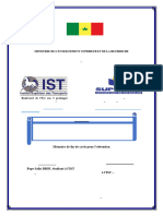 Mémoire_pdf_compressed