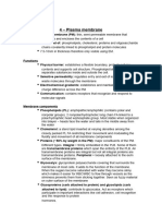 4 - Plasma membrane.docx