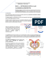 S1. Introducción a las glomerulonefritis