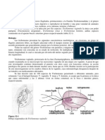 Tricomonosis Resumenparaimprimir