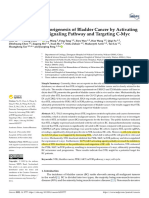 00-6 STIL Promotes Tumorigenesis of Bladder Cancer by Activating PI3KAKTmTOR Signaling Pathway and Targeting C-Myc