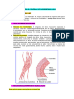 Sistema Muscular 3 - EXCITAÇÃO E CONTRAÇÃO DO MÚSCULO LISO