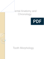 Dental anatomy/Tooth Morphology