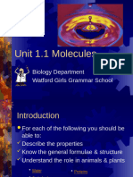 Unit 1.1 Molecules (3) Copy