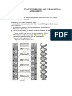 2_dna Strand Breaks and Chromosomal Aberrations