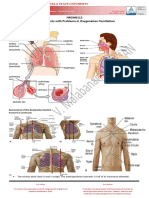 NRCM0112 - Handout - Oxygenation Ventilation