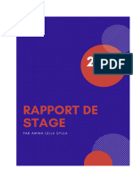 Rapport de stage