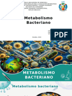 Microbologia de los alimentos.V26561061sss