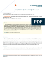 feline hepatic lipidosis case report