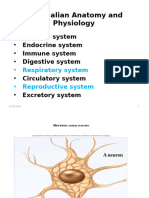 1 Nervous System Biol 2035.Pptxiii