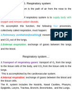 Mammalian&Respiratory System