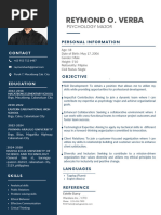 Blue Simple Professional CV Resume