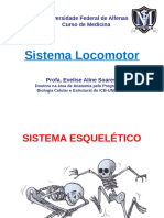 Anatomia Sistema esquelético