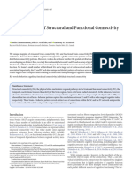 Cognition_Structural-Functional-Connectivity-Mapping