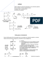 Lipdios-IC-343-2024-II